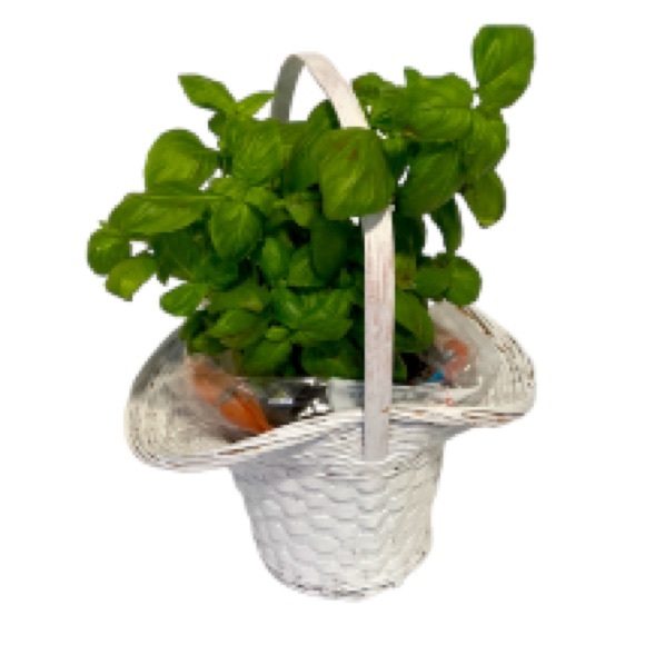 PRINCESS Farmhouse Wicker Woven Basket Flower Plant Pot Centerpiece White - Picture 2 of 9